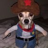 Beto