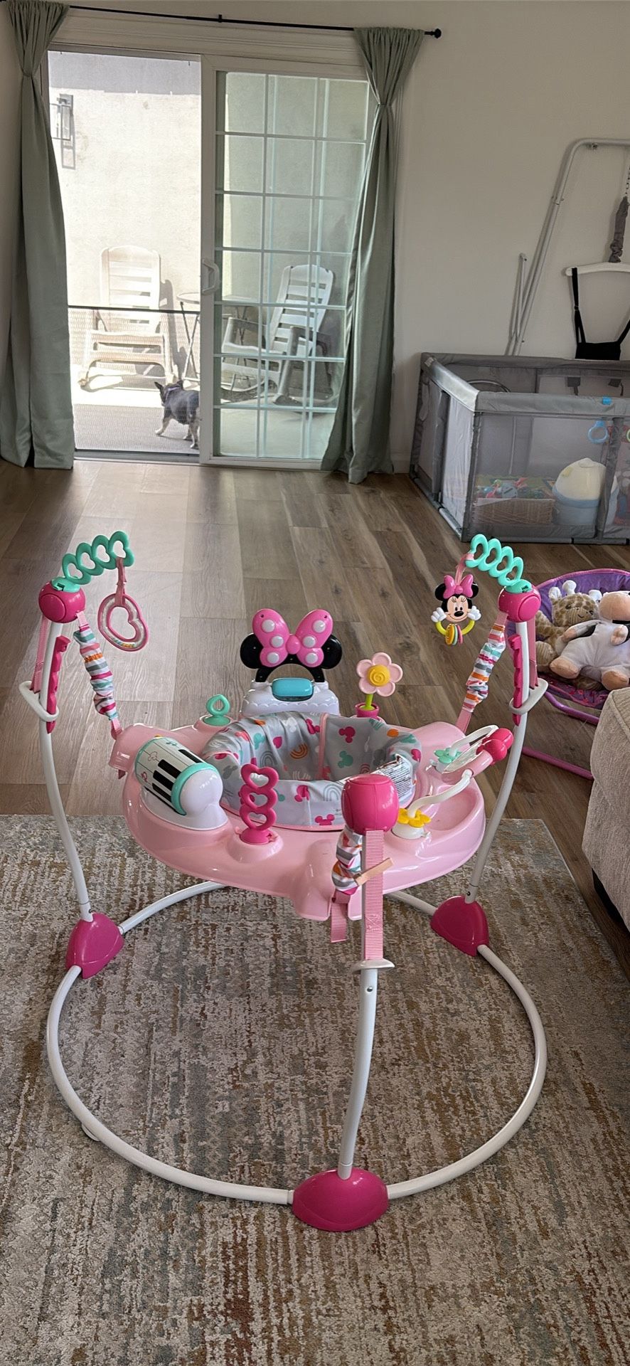 Baby Bouncer