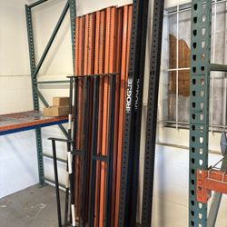 Rogue Monster Lite 10’ Wallmount