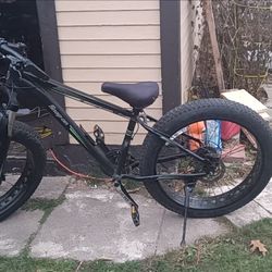 snap-on fat tire bike