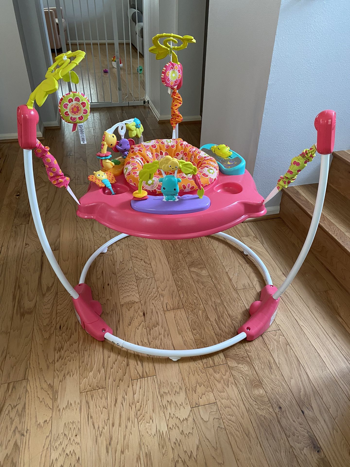 Fisher-Price Baby Bouncer Pink Petals Jumperoo
