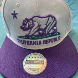 California Republic Hat Bear Logo Embroidered Snapback Flat Bill Baseball Cap  Purple