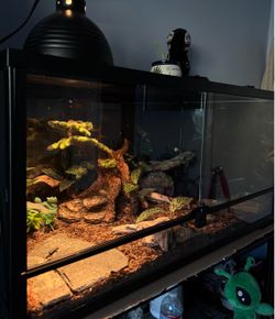40 gallon longZoomed Reptile Glass Enclosure