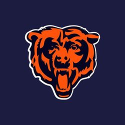 Bears Vs Panters
