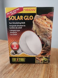 Reptile lamps and bulbs