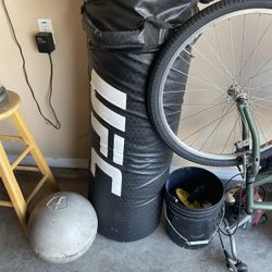 100 Lb Punching Bag 