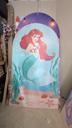 Foamboard backdrops ( price for unit)