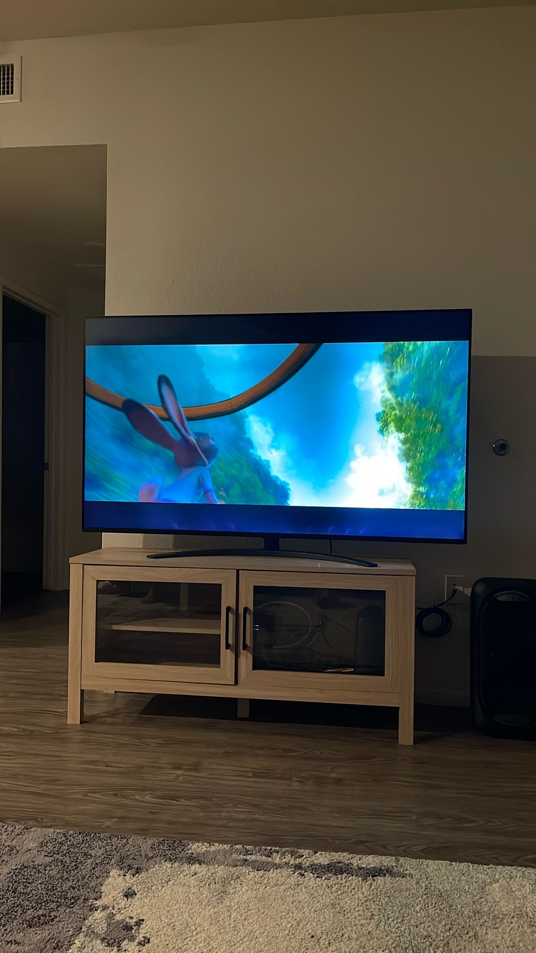 65 Inch LG