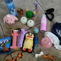 Dog Supplies And Toys
