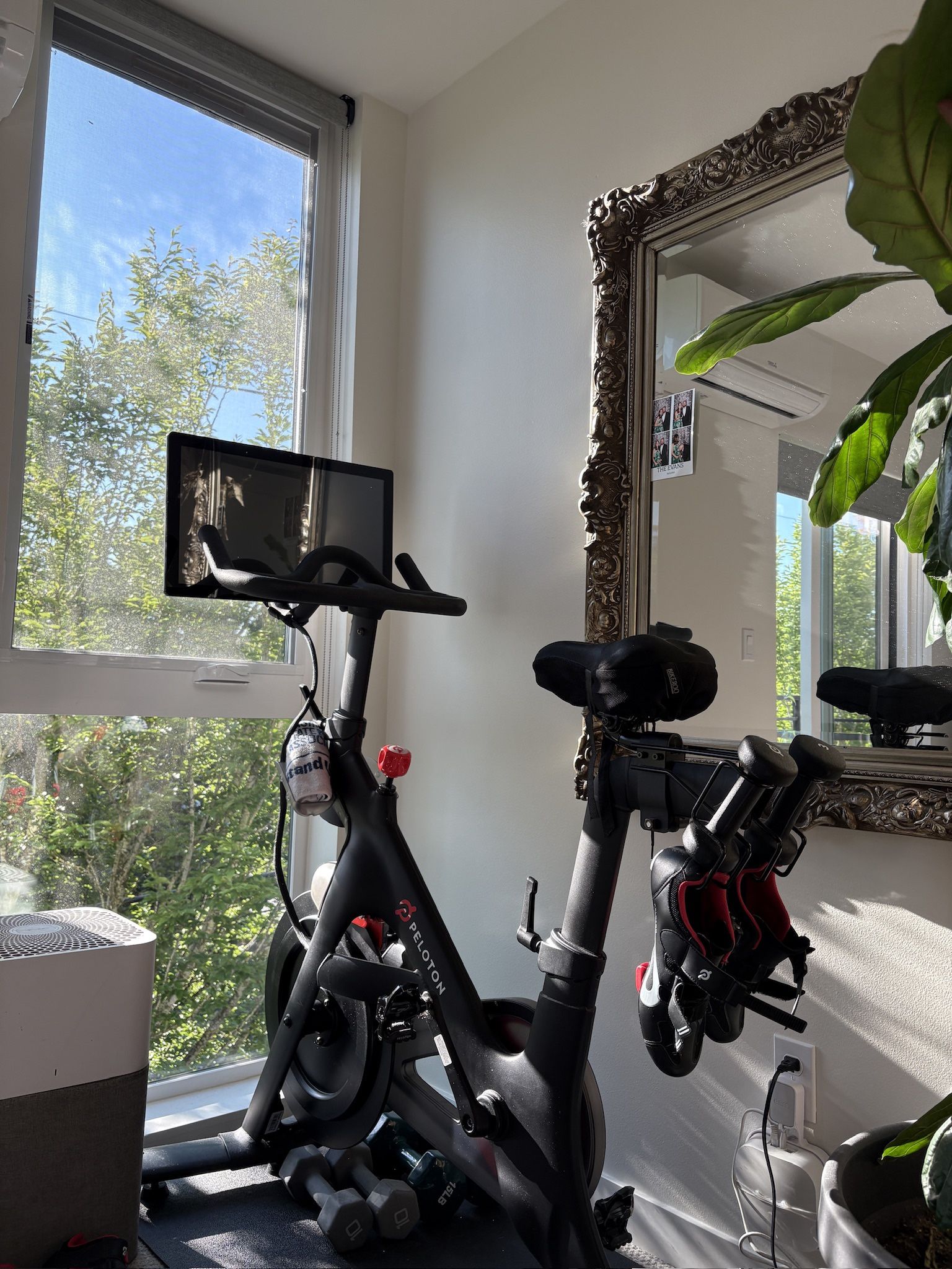 Peloton Bike