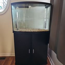 36 Gallon Fish Tank