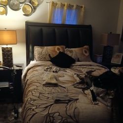 Queen Bed Frame ,dresser And 2 Nightstand  