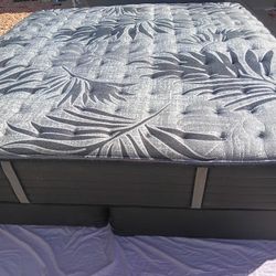 Sealy King Size Mattress And Box Spring 