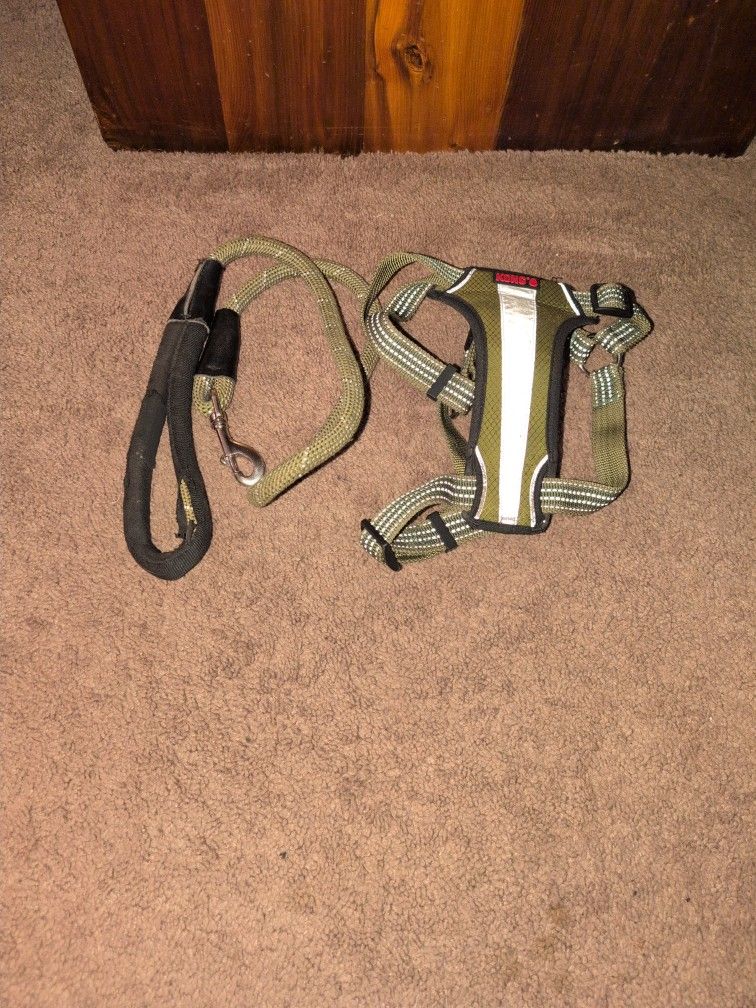 Kong Harness with leash