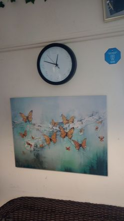 Picture of butterflies