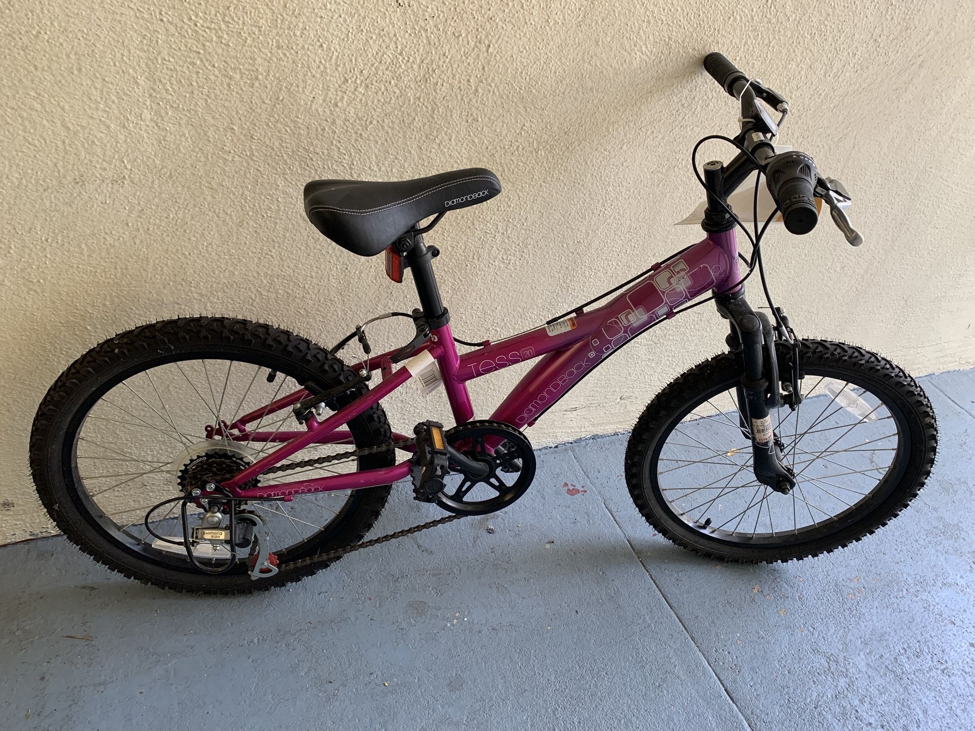 Young Girls Diamondback Tess 20 “ Mountain Bike