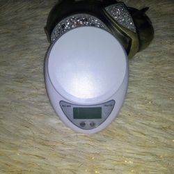 Small shipping Scale