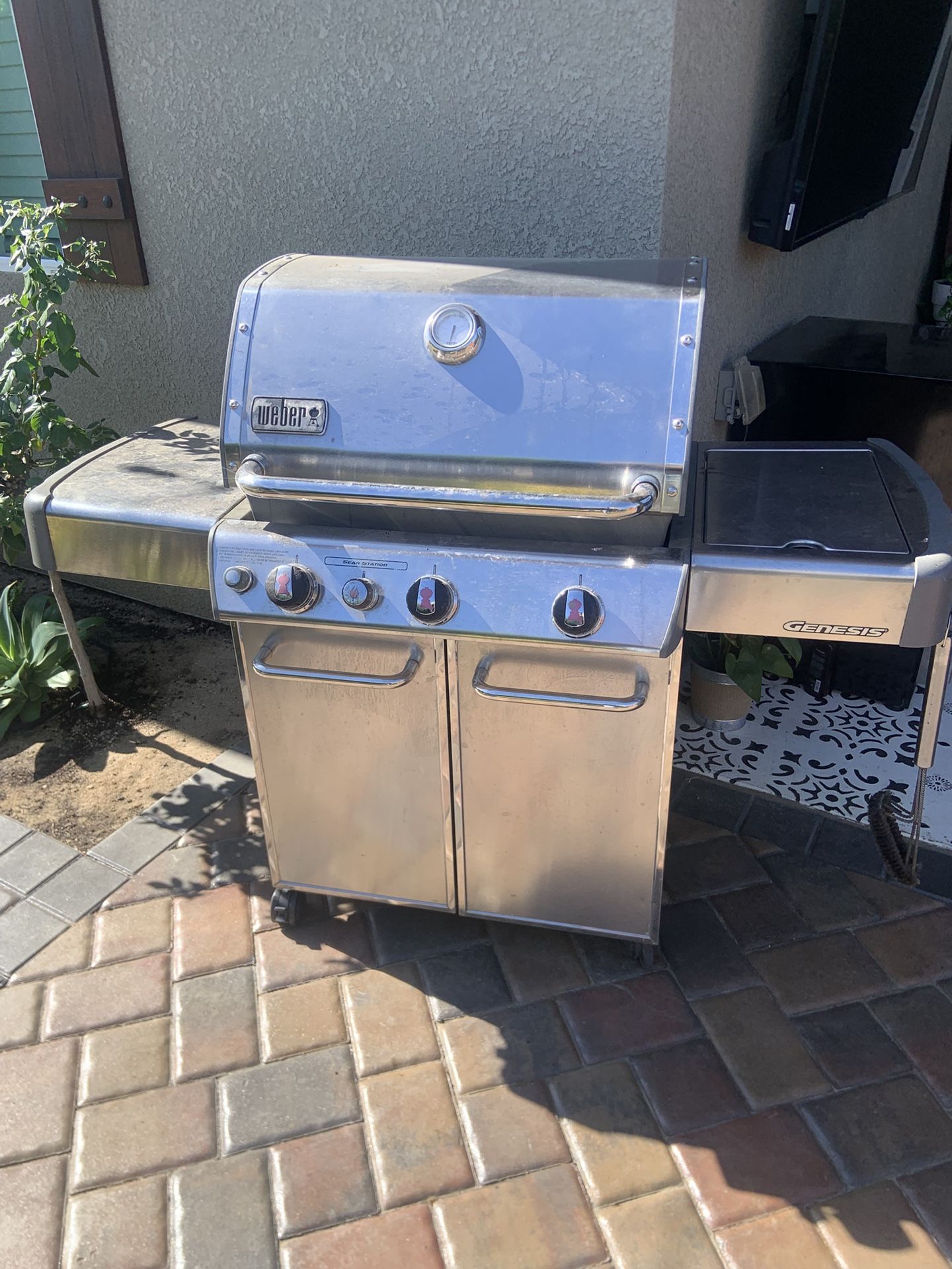 Gas Weber Stainless Steel Grill