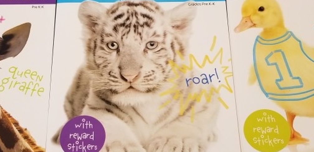 3 Pre K Workbooks