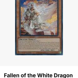 Yugioh Fallen Of The White Dragon