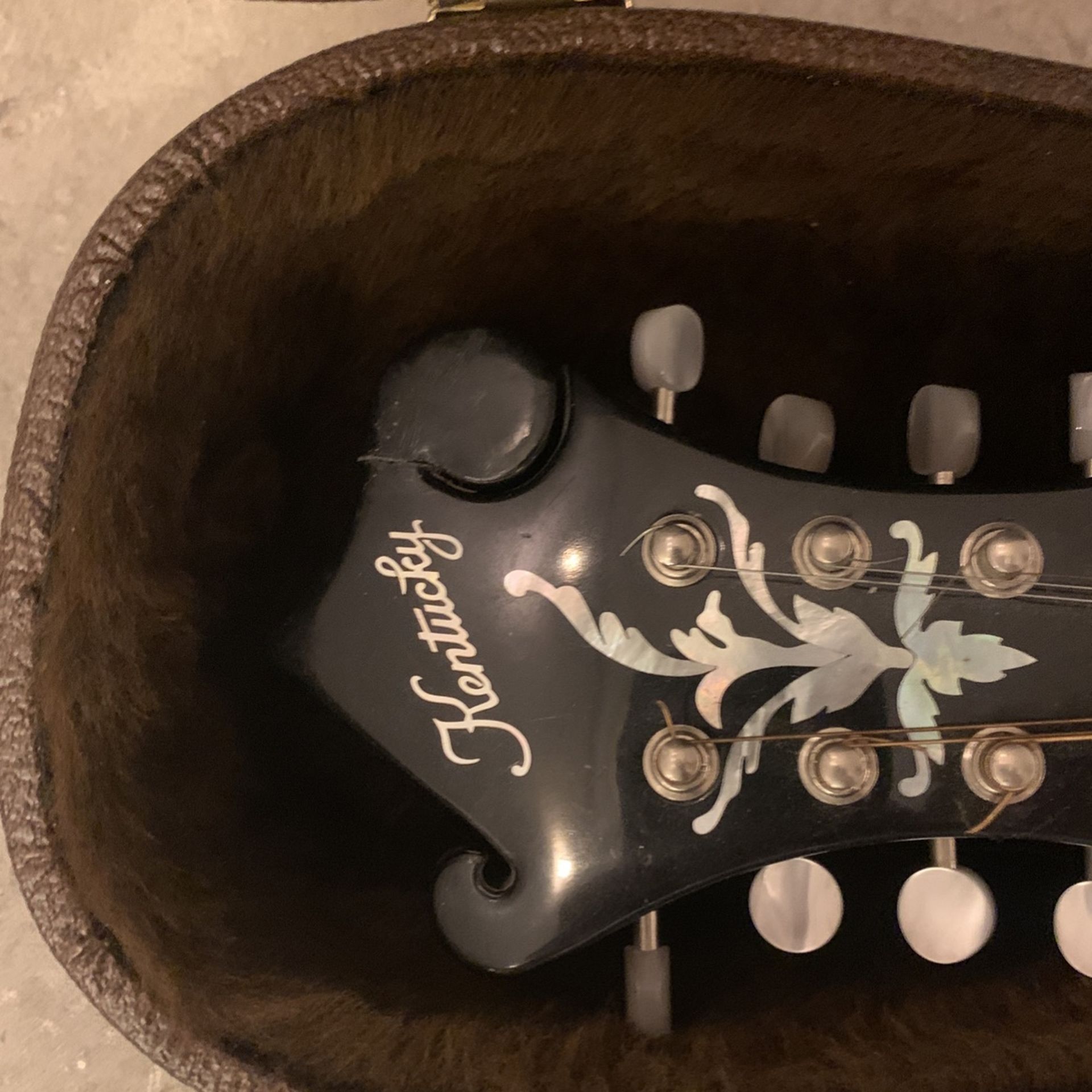 Kentucky mandolin km 620 jobpsado