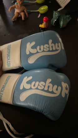 Kushy Punch Boxing gloves