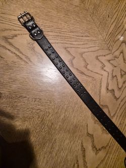 Medium Dog Collar