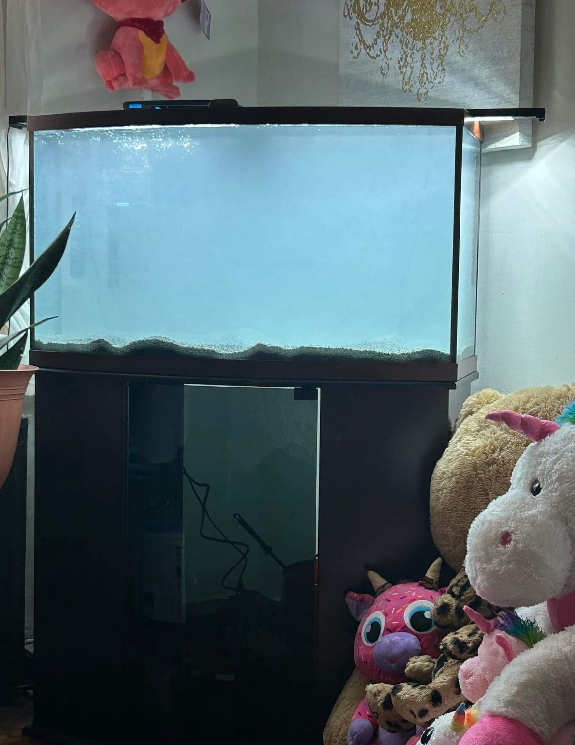 Bowfront Aquarium Fish Tank 