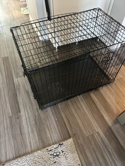 For Dog