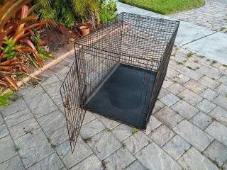 Dog kennel.