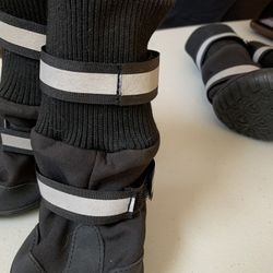 Dog Shoes