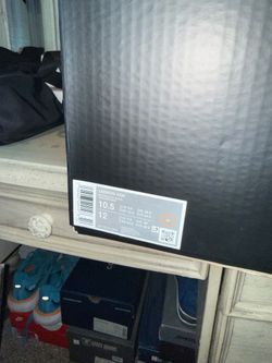Brand New LeBron James Shoes