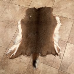 Whitetail Deer Hide Taxidermy Decor Rustic Hunting 