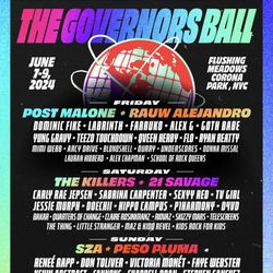 gov ball