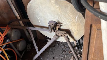 Sharping Stone / NEEDS A NEW PETAL