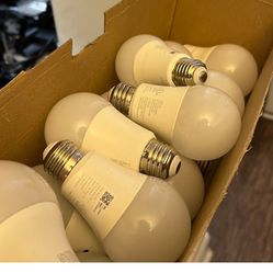 Hue Lamp Bulbs 
