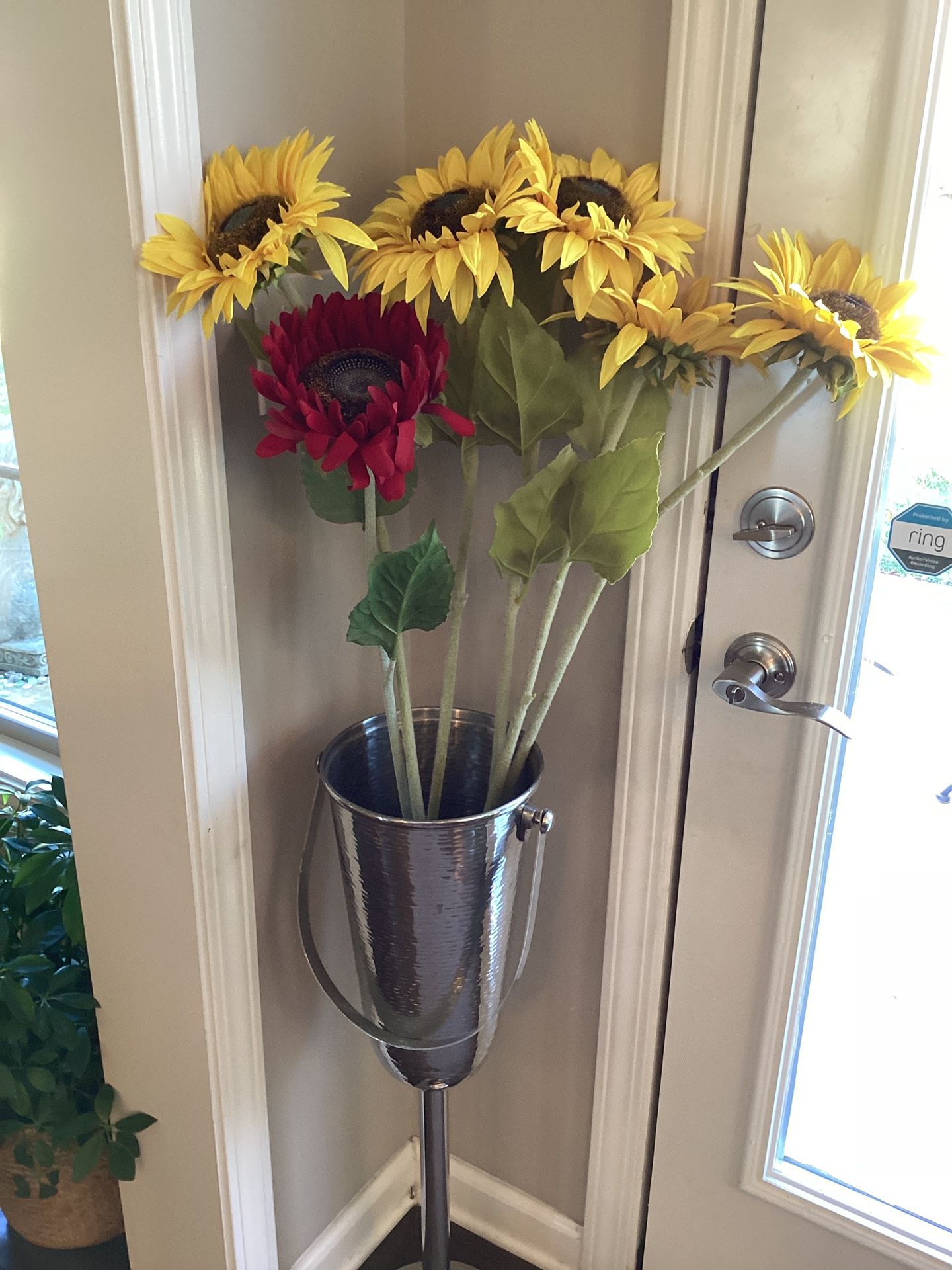 LONG QUALITY Sunflowers (6) 32” LONG w/fuzzy, sturdy stems