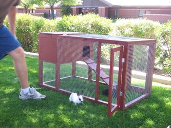 Rabbit pen, hutch, cage.