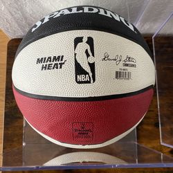 Miami Heat basketball 2006