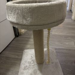 Cat   Scratch / Play Post 