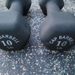 10lbs Dumbells Weights 