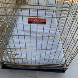 Dog Crate On Wheels With Comfort Pad