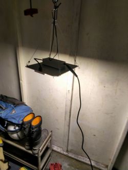 Grow light