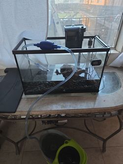 Fish Tank And Extra