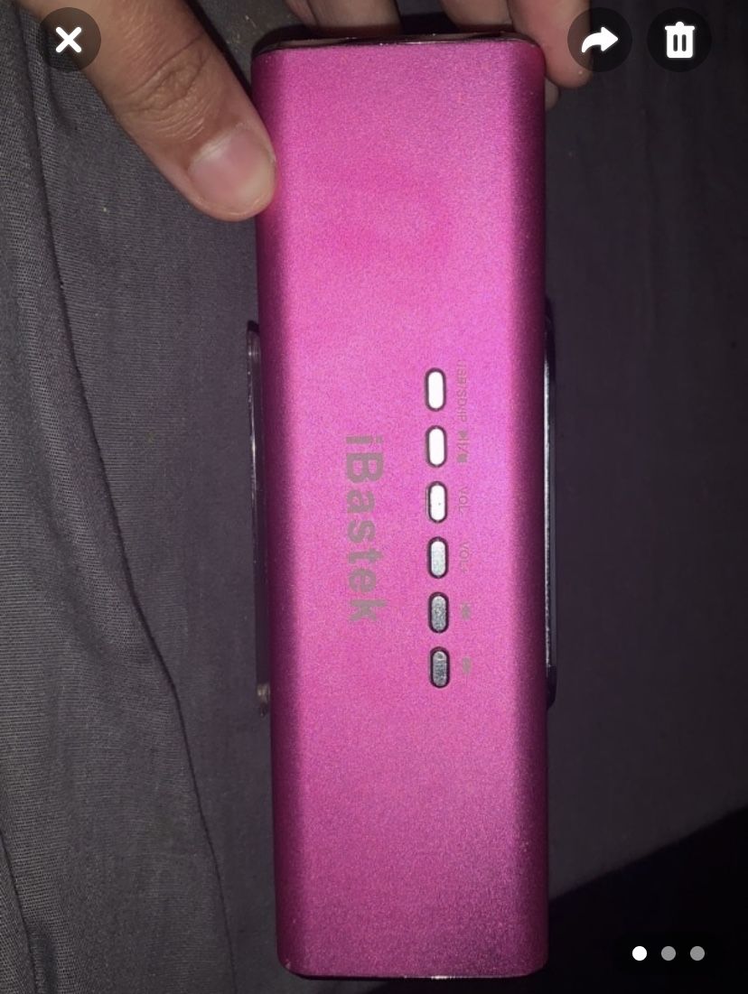 IBastek speaker
