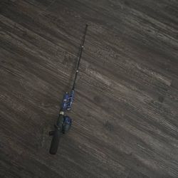 mini fishing rod