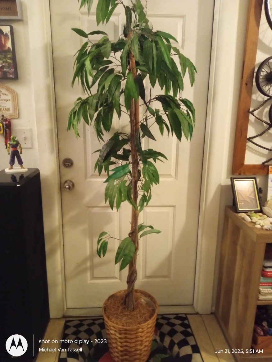 Decorative Tree