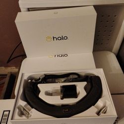 Halo 3 Dog Invisible Fence And Training 