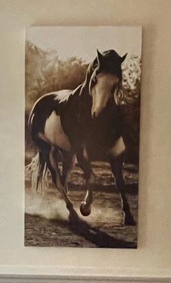Beautiful Horse  signed and numbered by the artist