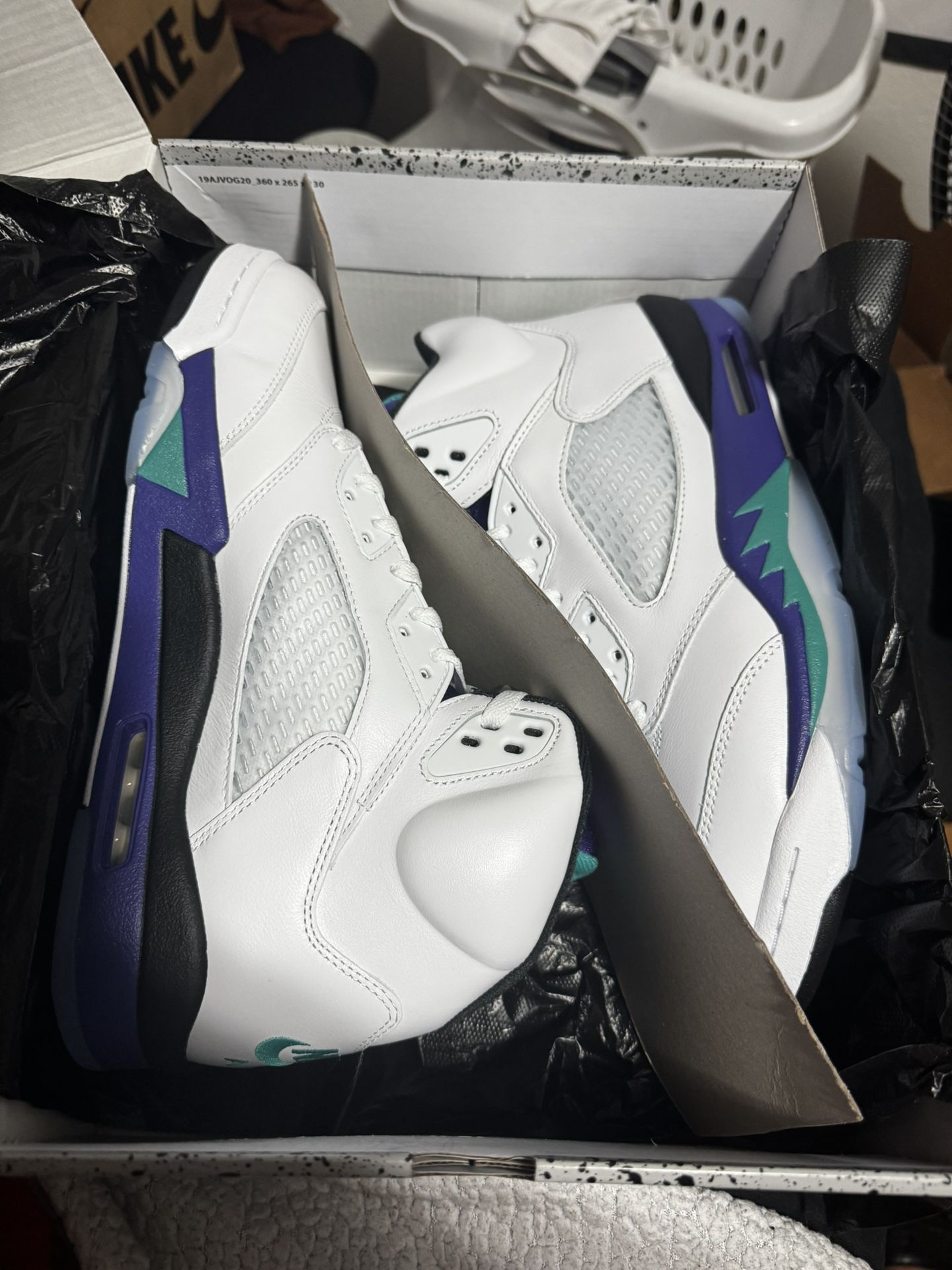 Brand New Jordan 5 Retro “Grape” 2025